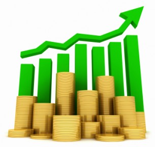 Holistic Investment - equity fund