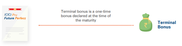 terminal bonus